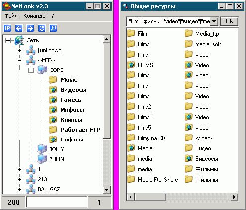 NetLook